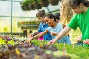 CSR - Children gardening - compressed